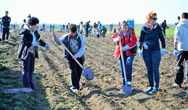 Sursa foto: www.101stiri.ro-Brîndușa DAN