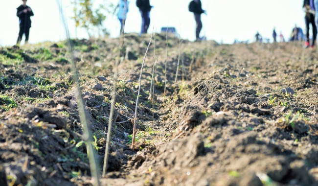 Sursa foto: www.101stiri.ro-Brîndușa DAN