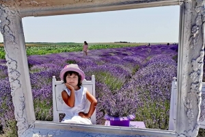 ÎNCEPE LAVANDA FEST - SĂPTĂMÂNA MOV, ÎN COMUNA CONSTĂNȚEANĂ PECINEAGA